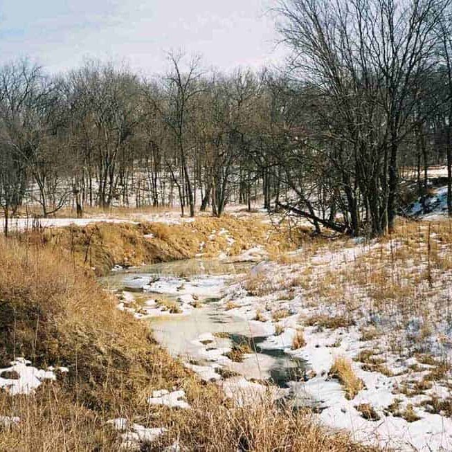 Praire Creek Greenway